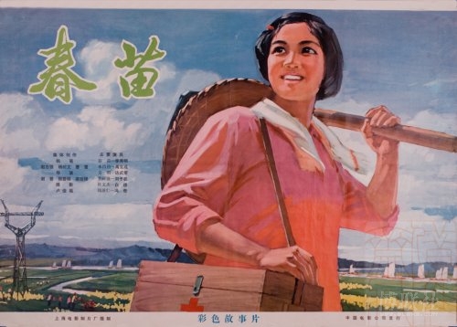 安德鲁杰克逊大学本科毕业证
